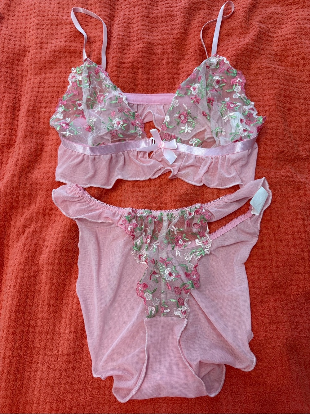 Delicate Pink Sheer Floral Bralette & Brief Set